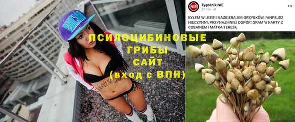 мескалин Осинники