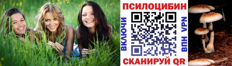 нарко площадка какой сайт Каневская Псилоцибиновые грибы GOLDEN TEACHER наркошоп